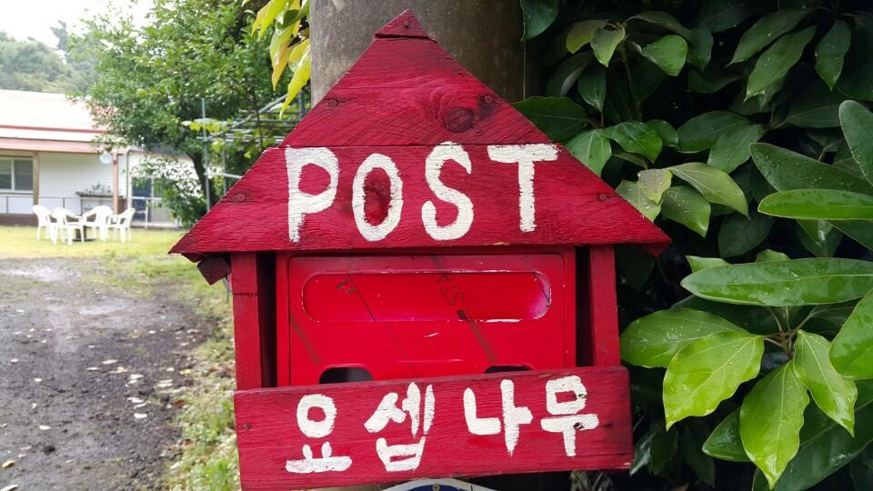 Joseph Tree Guest House Jeju Exterior foto