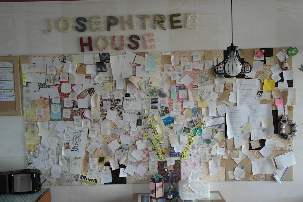 Joseph Tree Guest House Jeju Exterior foto